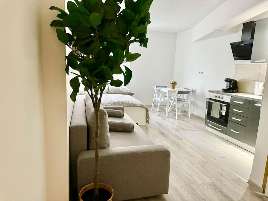 Stylish Schonbrunn Apartments - Free Underground Parking Wien Exterior foto